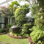 DSC03401
